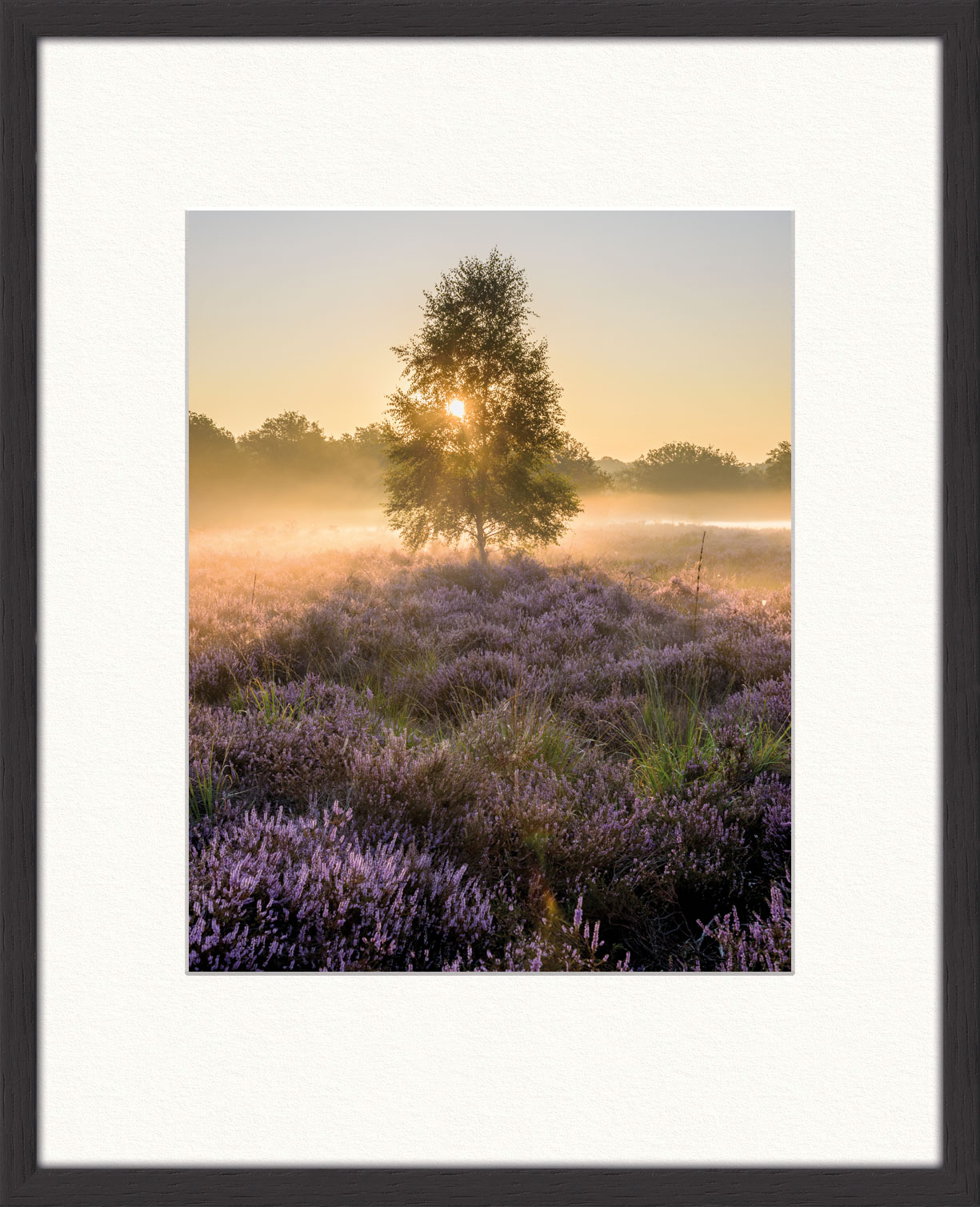 Fine Art Print Gegenlicht F Zwo Acht Fotografie