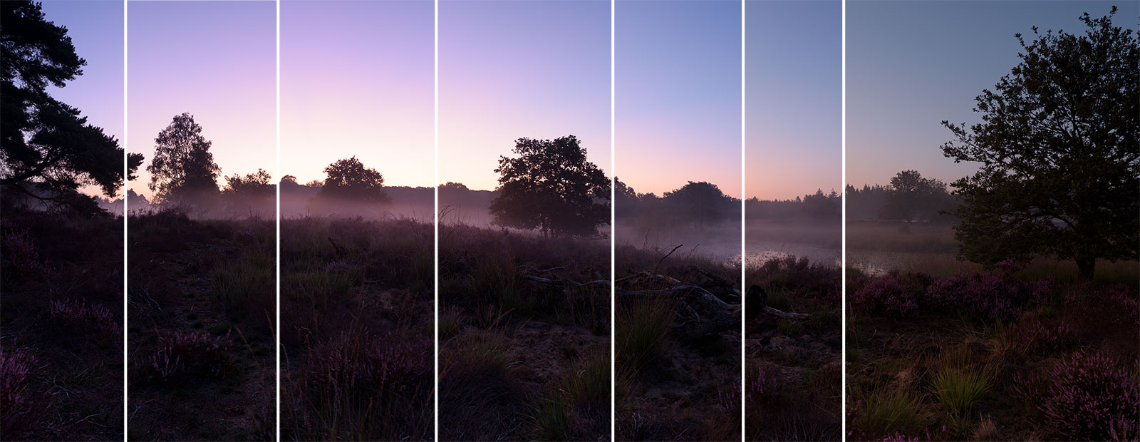 Panorama Overlay
